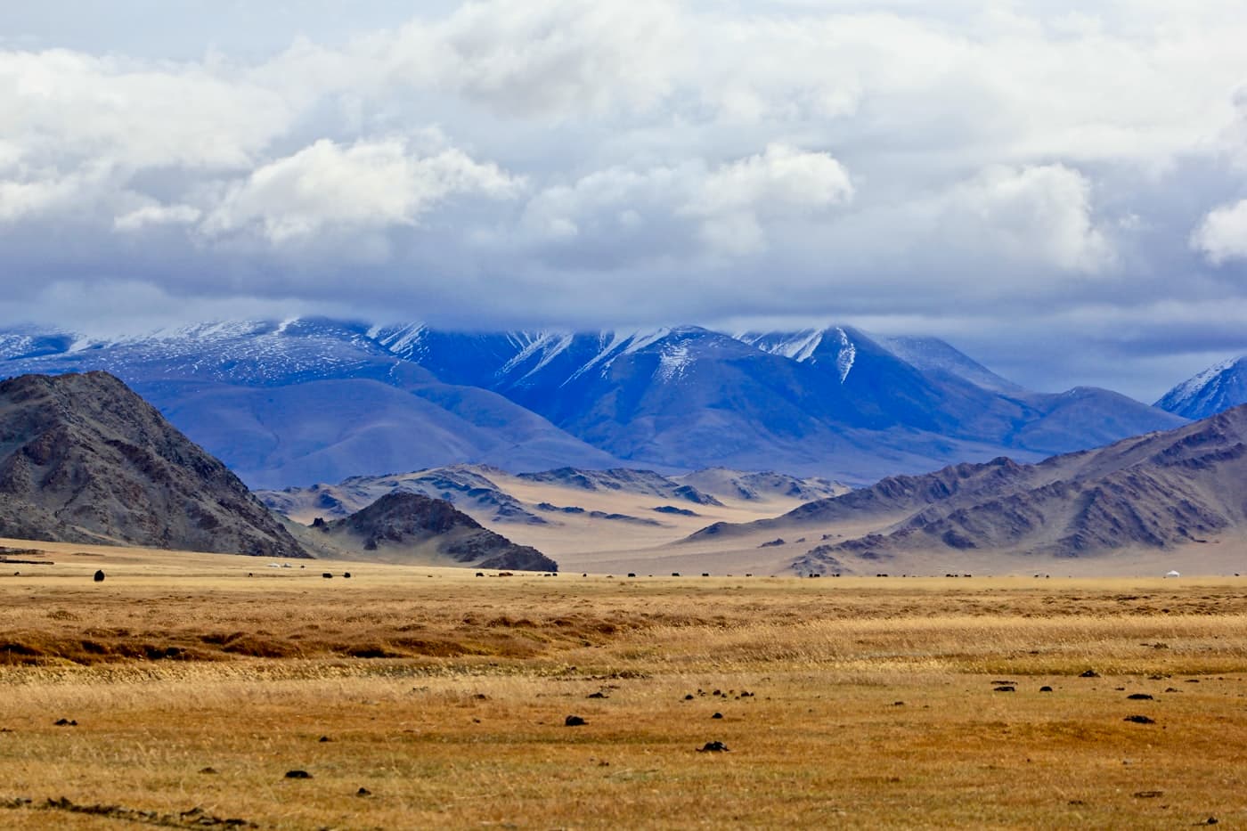 Open Mongolian steppe with mountains on the horizon